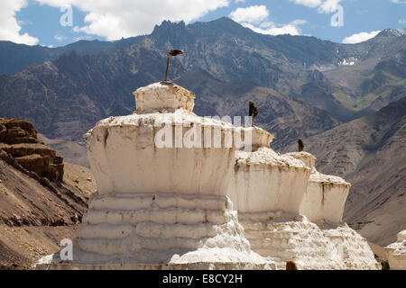 Buddhistischen Stupas in der Nähe von Saspool in das Nubrah Tal, Ladakh, Nordindien Stockfoto