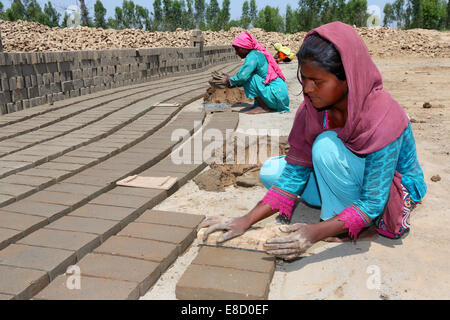 weibliche Ziegelei Arbeiter (16 Jahre) Form Ziegel auf ein Feld der Patoki Ziegelei in der Nähe von Lahore, Pakistan Stockfoto