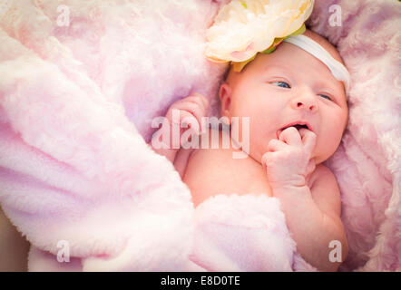 Wunderschönes neugeborenes Baby Mädchen Verlegung friedlich in weiche rosa Decke. Stockfoto