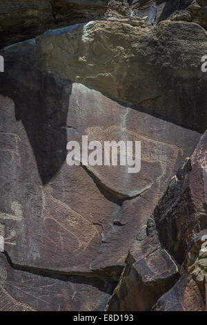 Antike Darstellungen oder Petroglyphen in Wyoming gefunden. einige Gedanken über 10000 Jahre alt sein Stockfoto