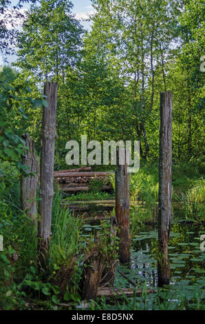 Holzbrücke über Wald-Fluss. Stockfoto
