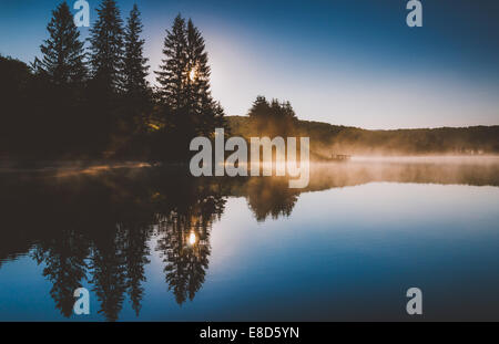 Die Sonne scheint durch Pinien und Nebel bei Sonnenaufgang, am Spruce Knob Lake, Monongahela National Forest, West Virginia. Stockfoto