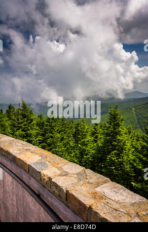 Blick vom Aussichtsturm am Mount Mitchell, North Carolina. Stockfoto