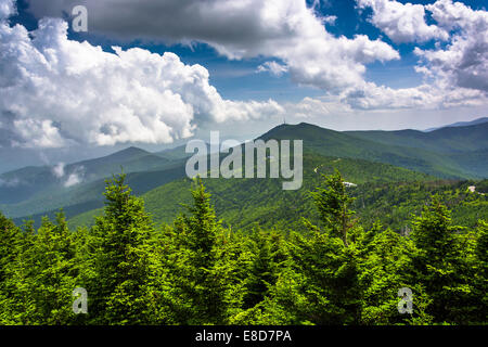 Blick auf die Appalachian Berge vom Aussichtsturm am Mount Mitchell, North Carolina. Stockfoto