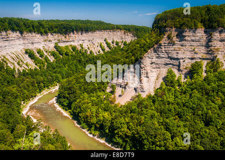 Blick auf den Genesee River Schlucht in Letchworth State Park, New York. Stockfoto