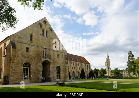 Kulturzentrum Abtei Royaumont, ehemalige Zisterzienserabtei, Asnières-Sur-Oise, Département Val-d ' Oise, Frankreich Stockfoto