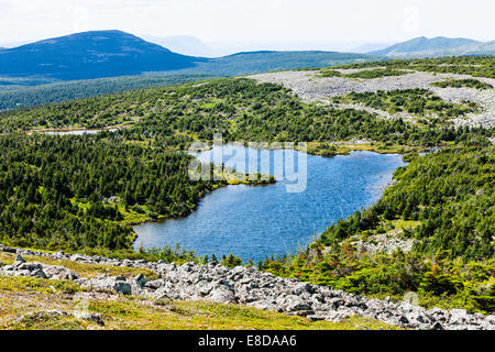 Blick vom Mont Jacques-Cartier in Quebec, Kanada Stockfoto