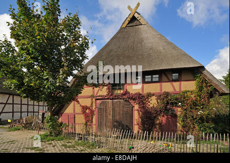 Einem renovierten reetgedeckten Bauernhaus auf einem Dorfplatz, Vitense, Mecklenburg-Vorpommern, Deutschland Stockfoto