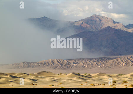 Mesquite flache Sanddünen, ein Sandsturm über die Weinrebe Berge im Rücken, Death Valley, Death Valley National Park Stockfoto
