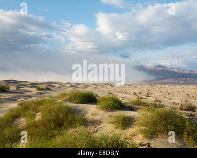 Mesquite flache Sanddünen, ein Sandsturm über die Weinrebe Berge im Rücken, Death Valley, Death Valley National Park Stockfoto