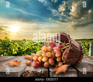 Trauben in einem Korb auf Holztisch Stockfoto