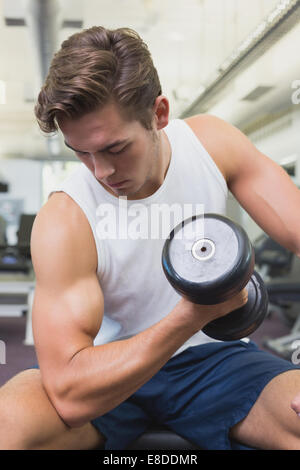 Fit Mann auf der Bank sitzen Hanteln heben Stockfoto