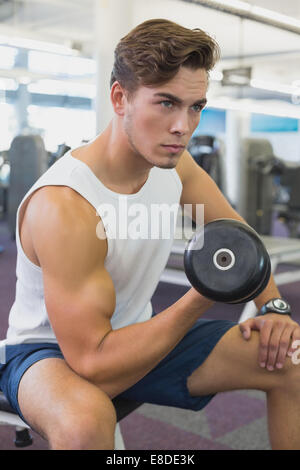 Fit Mann auf der Bank sitzen Hanteln heben Stockfoto