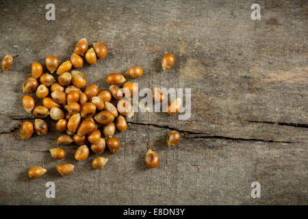 Gebratener Maissamen über Holz Hintergrund Stockfoto