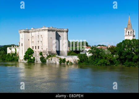 Burg von König René, Sankt Martha Collegiate, Tarascon, Bouches du Rhone, Provence, Frankreich Stockfoto