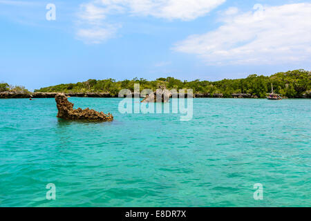 eine schöne Aussicht auf die Mangroven in Sansibar, Tansania Afrika. Stockfoto