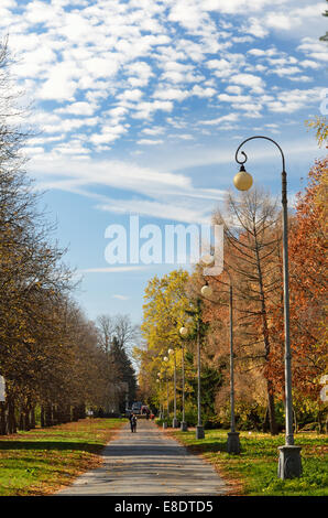 Herbst-park Stockfoto