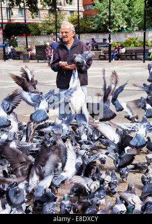 Ein Mann, der die Tauben füttern, am Marble Arch in London Stockfoto