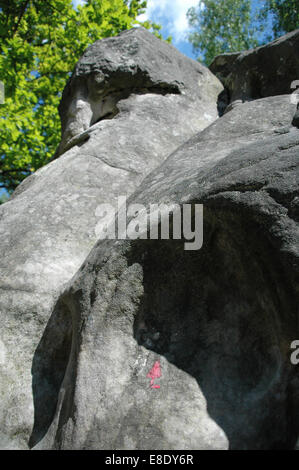 Bouldern in Fontainebleau Stockfoto