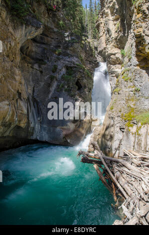 Wasserfall entlang der Johnston Creek Trail, Alberta, Kanada Stockfoto