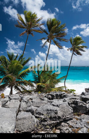 Bottom Bay, Barbados, West Indies Stockfoto