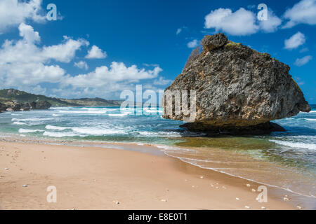 Mushroom Rock auf Bathseba im Barbados erodiert. Stockfoto