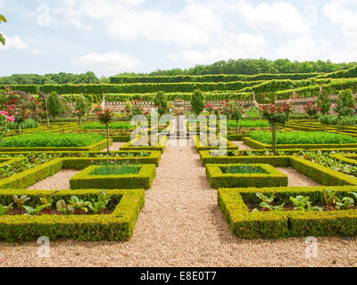 Villandry, Frankreich: entlang der Route der Schlösser an der Loire - Château et Jardins de Villandry Stockfoto