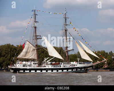 Teilnahme an der Parade des Segels, während der große Schiffe Festival, Greenwich Stavros. Stockfoto