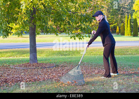 Frau, die gefallenen Blätter in ihrem Garten aufräumen Stockfoto