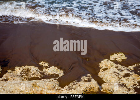 Flache Focus Bild von Felsen und Meer Stockfoto