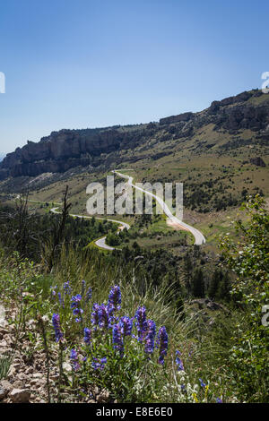 am Nachmittag Blick auf die zehn Schlaf Canyon in Wyoming mit schönen Frühlingsblumen im Vordergrund Stockfoto