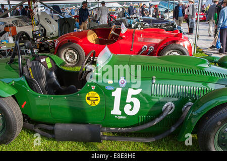 Klassischer Jahrgang 1953 Frazer Nash Le Mans Replica Autos bei dem Goodwood Revival 2014, West Sussex, UK Stockfoto