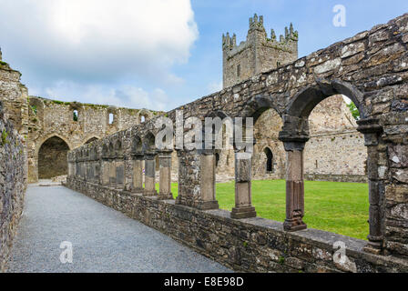 Blick vom Kreuzgang in Jerpoint Abbey, Thomastown, Grafschaft Kilkenny, Irland Stockfoto