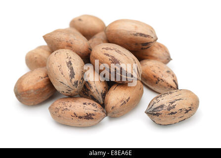Heap Pecan Nüsse in der Schale isoliert auf weiss Stockfoto