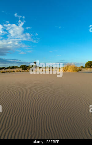 Der Leuchtturm am Espiguette, Le Grau Du Roi, Gard, Languedoc Roussillon, Frankreich Stockfoto