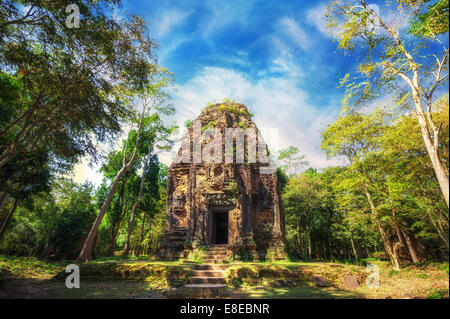 Alten Khmer vor Angkor Architektur. Sambor Prei Kuk Tempelruinen mit riesigen Banyan-Bäumen unter blauem Himmel. Kampong Thom, Cambod Stockfoto