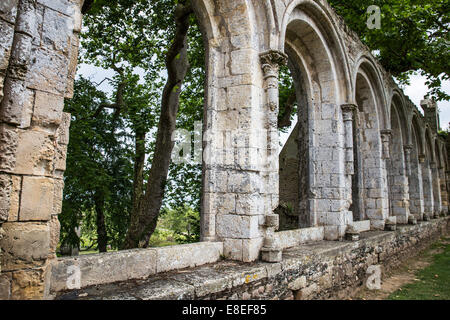 Die Abtei von Beauport, Paimpol, Bretagne, Frankreich, Europa Stockfoto