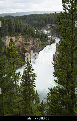 schöne Aussicht aus einer Sicht der oberen fällt im Yellowstone-Nationalpark Stockfoto