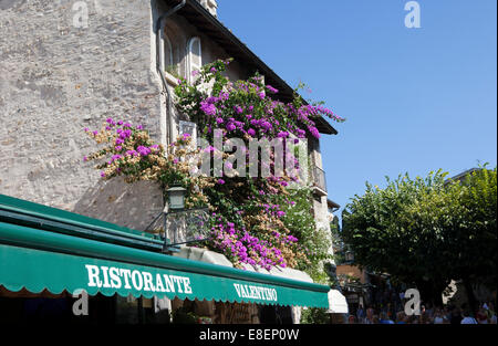 "Lago di Garda oder Lago Benaco" der Gardasee ist der größte See in Italien. Eine beliebte italienische Urlaub Lage, Europa, EU Stockfoto