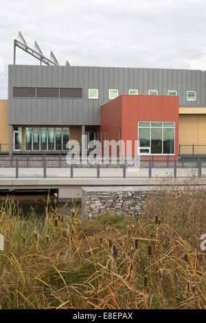 Ökologische Bildung und Ethik-Zentrum mit Wasser Behandlung Feuchtgebiet unter anderem Rohrkolben (Typha Latifolia) in Ralph Klein Park Stockfoto