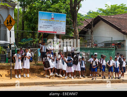 Schulkinder mit Schuluniformen warten an einer Bushaltestelle in Mangalagama, Giragama Region, Sri Lanka Stockfoto