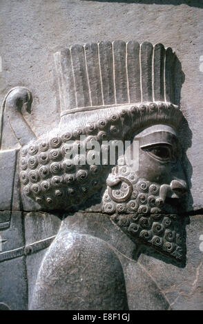 Relief von einem persischen Mann, der Apadana, Persepolis, Iran Stockfoto