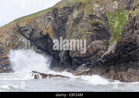 Rock-Schichten und Falten in den Klippen am Cwmtydu im Westen von Wales. Wellen an den Felsen brechen. Stockfoto