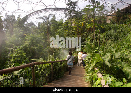 In den feuchten Tropen Biom, Eden Project, in der Nähe von St Austell, Cornwall. Stockfoto