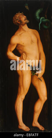 Adam. Künstler: Baldung, Hans (1484-1545) Stockfoto