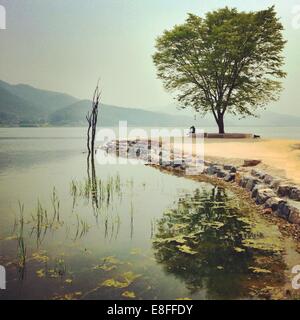 Pärchen unter Baum am See, Südkorea Stockfoto