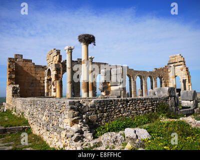 Alte Ruinen bei Volubilis in der Nähe von Meknes, Marokko Stockfoto