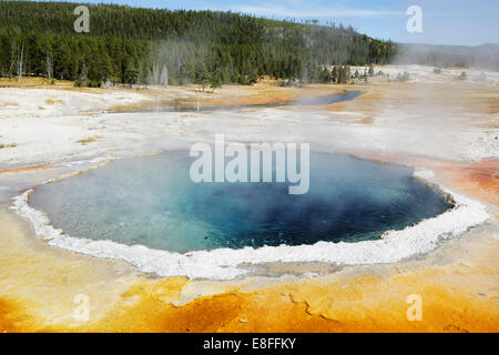 Thermalquelle, Yellowstone National Park, Wyoming, USA Stockfoto