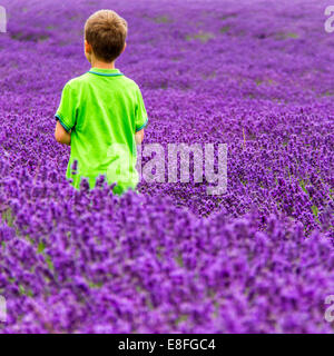 Junge im Feld Stockfoto