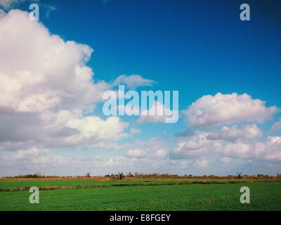 Niederlande, Paesi Bassi, Landschaft mit Wolken Stockfoto